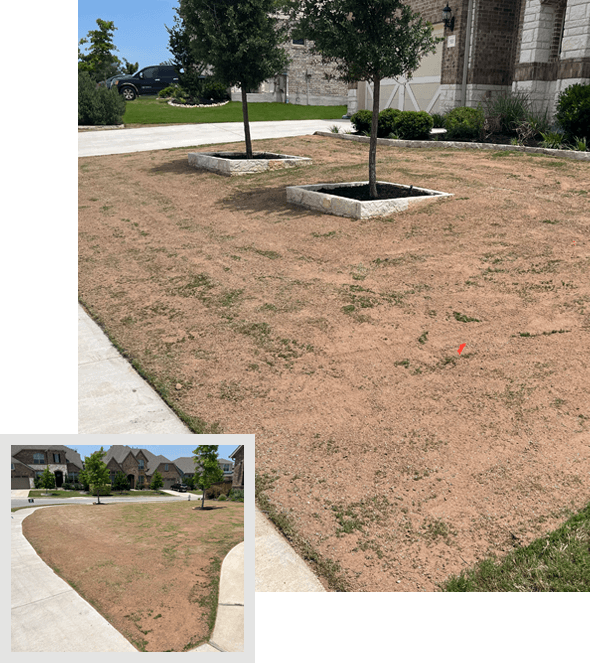 Lawn Leveling Services In Central Texas Lawn Experts You Can Trust